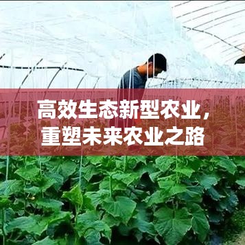 高效生態(tài)新型農(nóng)業(yè)，重塑未來(lái)農(nóng)業(yè)之路