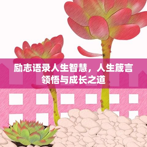 勵(lì)志語(yǔ)錄人生智慧，人生箴言領(lǐng)悟與成長(zhǎng)之道