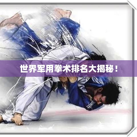 世界軍用拳術(shù)排名大揭秘！