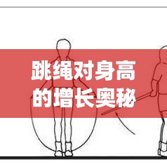 跳繩對(duì)身高的增長(zhǎng)奧秘，科學(xué)運(yùn)動(dòng)助力身高飛躍發(fā)展！