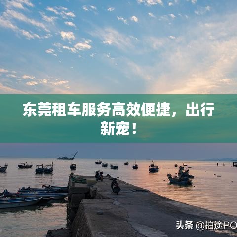 東莞租車服務(wù)高效便捷，出行新寵！