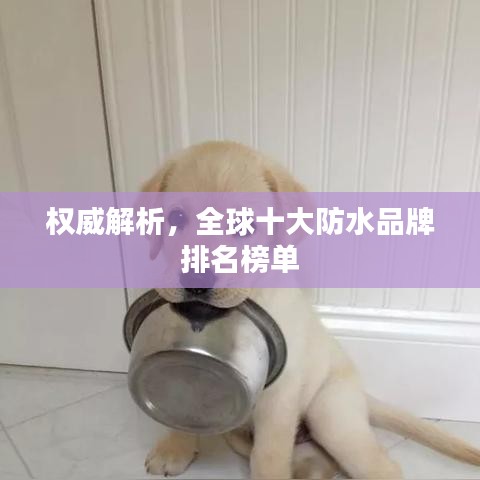 權(quán)威解析，全球十大防水品牌排名榜單