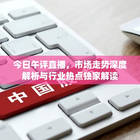 今日午評直播，市場走勢深度解析與行業(yè)熱點(diǎn)獨(dú)家解讀