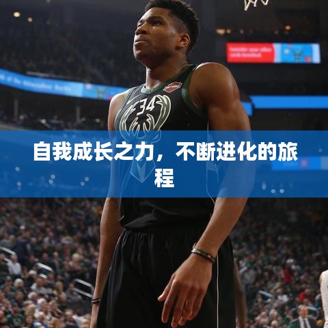 自我成長(zhǎng)之力，不斷進(jìn)化的旅程