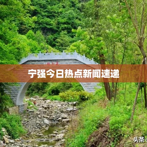 寧強今日熱點新聞速遞