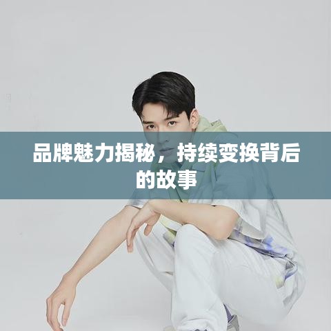 品牌魅力揭秘，持續(xù)變換背后的故事