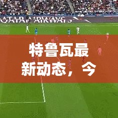 特魯瓦最新動(dòng)態(tài)，今日消息一覽