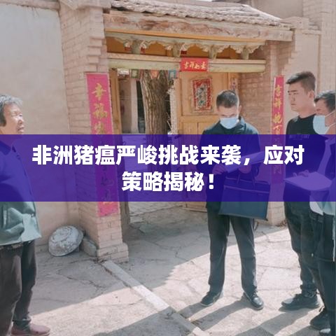 非洲豬瘟嚴(yán)峻挑戰(zhàn)來襲，應(yīng)對(duì)策略揭秘！