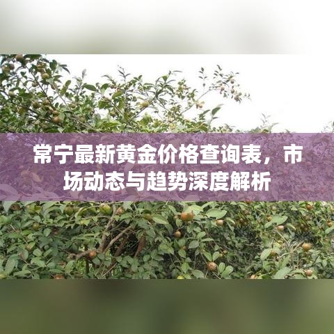 常寧最新黃金價(jià)格查詢表，市場(chǎng)動(dòng)態(tài)與趨勢(shì)深度解析
