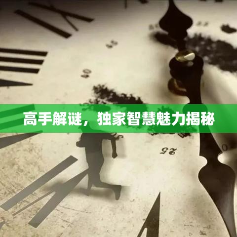 高手解謎，獨(dú)家智慧魅力揭秘