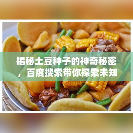 揭秘土豆種子的神奇秘密，百度搜索帶你探索未知世界