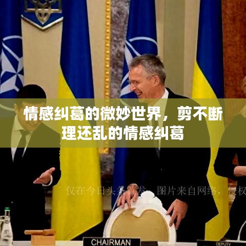 情感糾葛的微妙世界，剪不斷理還亂的情感糾葛