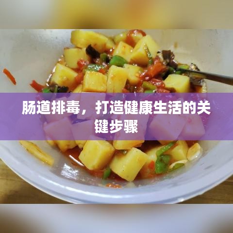 腸道排毒，打造健康生活的關(guān)鍵步驟