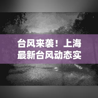 臺風來襲！上海最新臺風動態(tài)實時更新