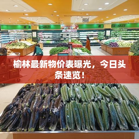 榆林最新物價(jià)表曝光，今日頭條速覽！
