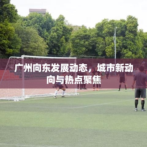 廣州向東發(fā)展動(dòng)態(tài)，城市新動(dòng)向與熱點(diǎn)聚焦