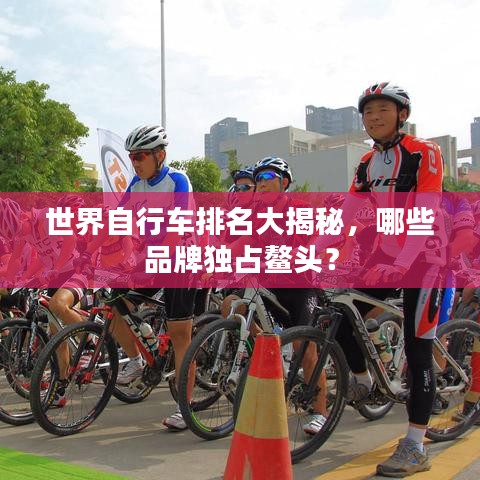世界自行車排名大揭秘，哪些品牌獨占鰲頭？