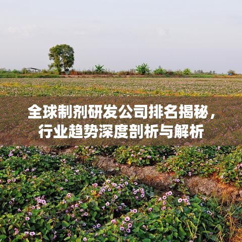 全球制劑研發(fā)公司排名揭秘，行業(yè)趨勢深度剖析與解析