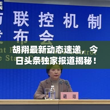 胡翔最新動態(tài)速遞，今日頭條獨家報道揭秘！