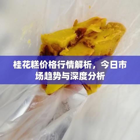 桂花糕價格行情解析，今日市場趨勢與深度分析