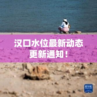 漢口水位最新動態(tài)更新通知！
