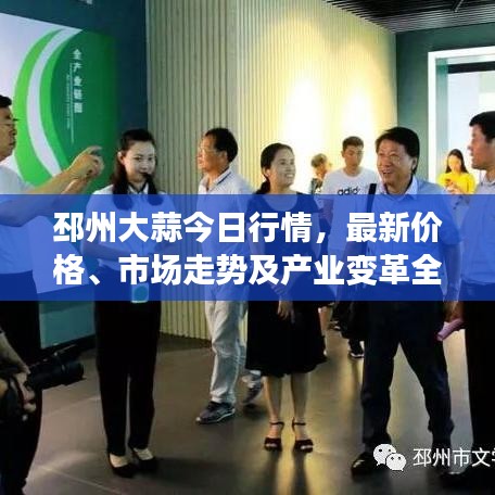 邳州大蒜今日行情，最新價(jià)格、市場(chǎng)走勢(shì)及產(chǎn)業(yè)變革全解析