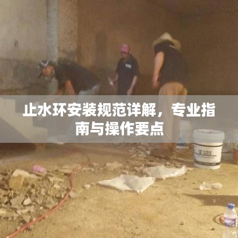 止水環(huán)安裝規(guī)范詳解，專業(yè)指南與操作要點