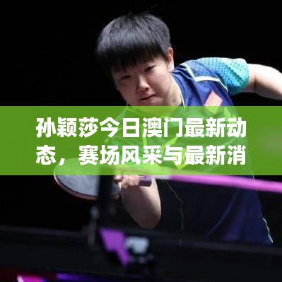 孫穎莎今日澳門最新動態(tài)，賽場風采與最新消息速遞