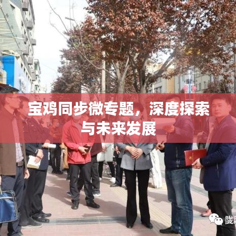 寶雞同步微專(zhuān)題，深度探索與未來(lái)發(fā)展