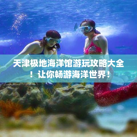 天津極地海洋館游玩攻略大全！讓你暢游海洋世界！