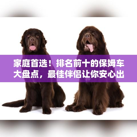 家庭首選！排名前十的保姆車大盤點(diǎn)，最佳伴侶讓你安心出行！