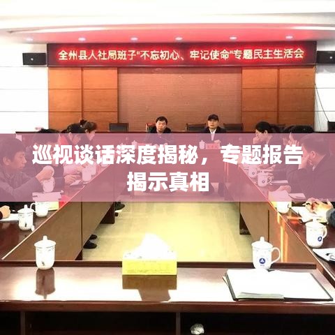 巡視談話(huà)深度揭秘，專(zhuān)題報(bào)告揭示真相