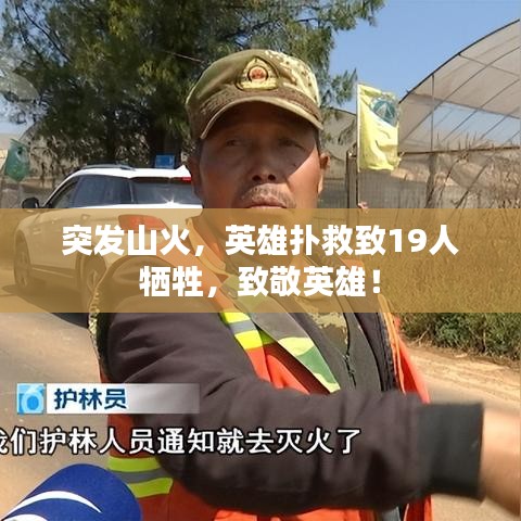 突發(fā)山火，英雄撲救致19人犧牲，致敬英雄！