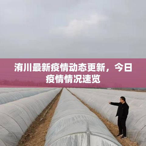 洧川最新疫情動(dòng)態(tài)更新，今日疫情情況速覽