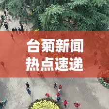 臺菊新聞熱點速遞，最新頭條報道搶先看！