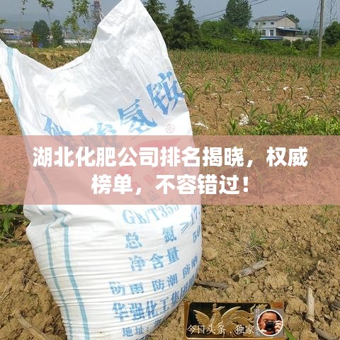 湖北化肥公司排名揭曉，權(quán)威榜單，不容錯過！