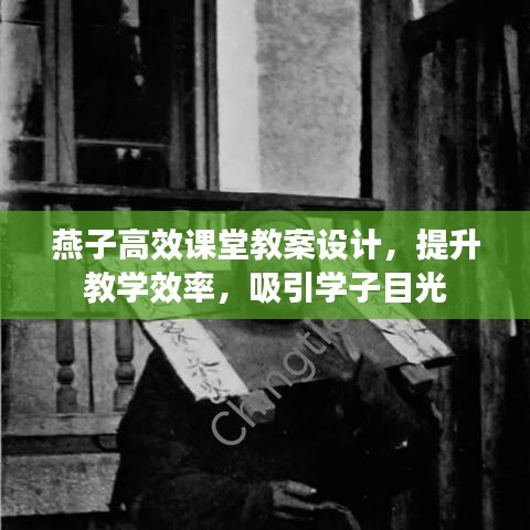 燕子高效課堂教案設計，提升教學效率，吸引學子目光