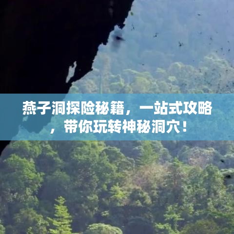 燕子洞探險秘籍，一站式攻略，帶你玩轉神秘洞穴！