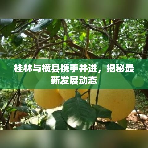 桂林與橫縣攜手并進(jìn)，揭秘最新發(fā)展動(dòng)態(tài)