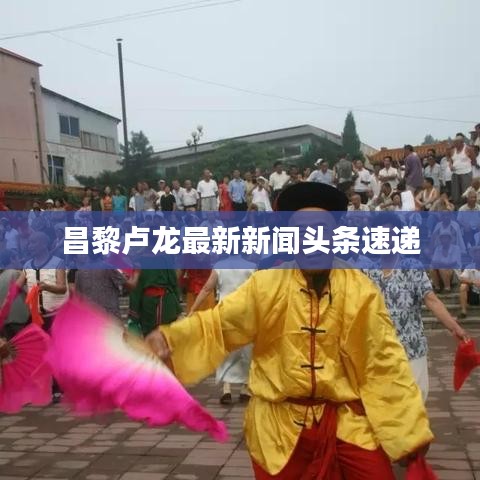 昌黎盧龍最新新聞?lì)^條速遞