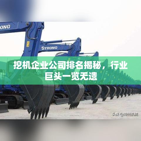挖機(jī)企業(yè)公司排名揭秘，行業(yè)巨頭一覽無遺