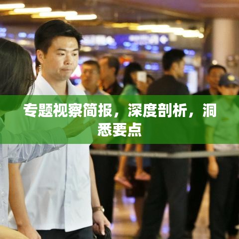 專題視察簡報(bào)，深度剖析，洞悉要點(diǎn)