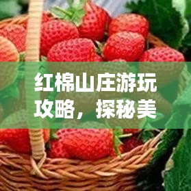 紅棉山莊游玩攻略，探秘美景，盡享度假時光！