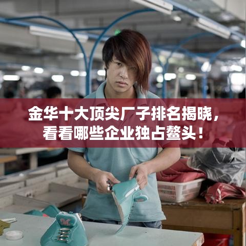金華十大頂尖廠子排名揭曉，看看哪些企業(yè)獨占鰲頭！