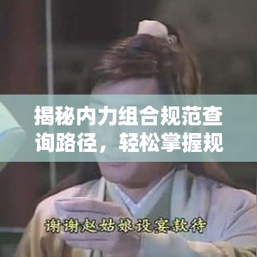 揭秘內(nèi)力組合規(guī)范查詢路徑，輕松掌握規(guī)范信息
