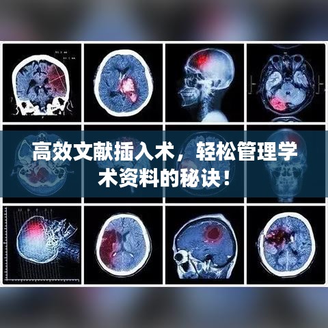 高效文獻(xiàn)插入術(shù)，輕松管理學(xué)術(shù)資料的秘訣！