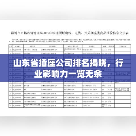 山東省插座公司排名揭曉，行業(yè)影響力一覽無余