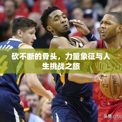 砍不斷的骨頭，力量象征與人生挑戰(zhàn)之旅