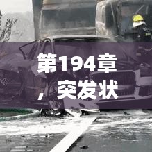 第194章，突發(fā)狀況緊急來襲