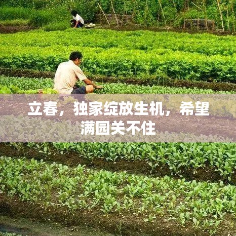 立春，獨(dú)家綻放生機(jī)，希望滿園關(guān)不住